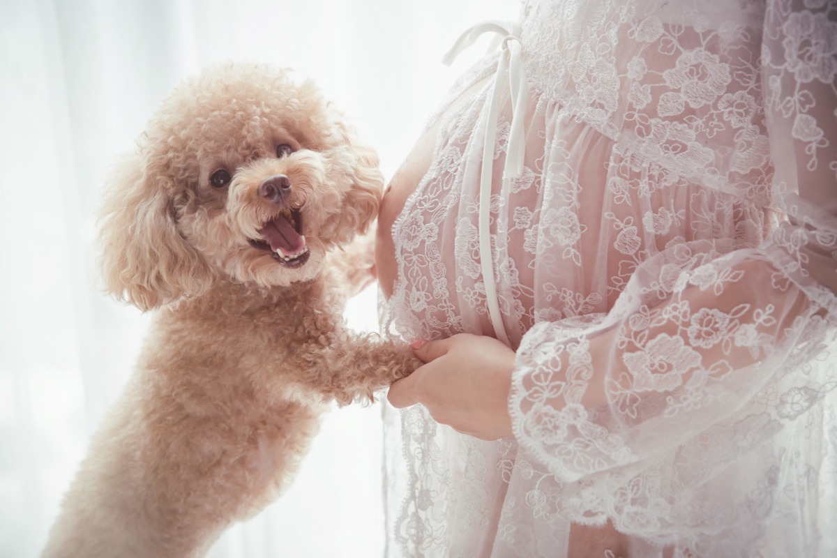 台中孕婦寫真、台中孕婦照、桃園孕婦寫真、桃園孕婦照