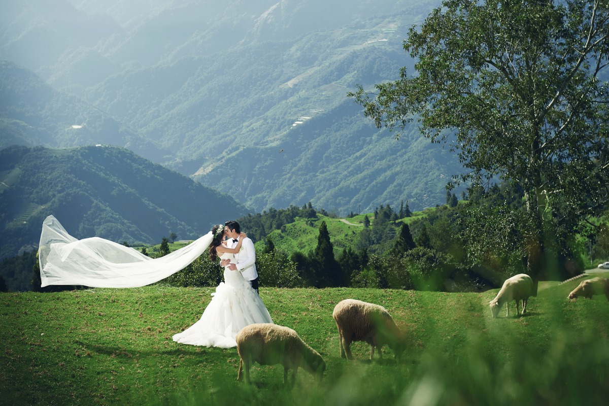 南投婚紗,婚紗外拍,中部婚紗景點,清境農場,青青草原