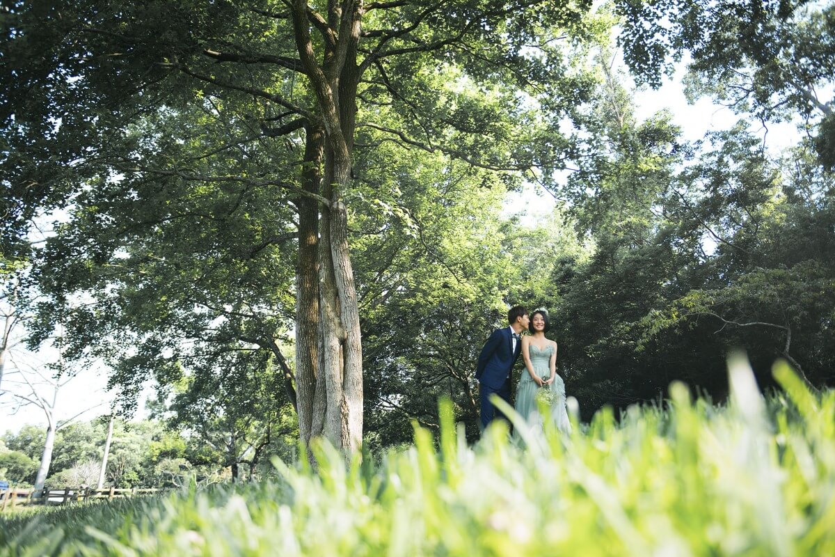 苗栗婚紗景點,清新婚紗照,日系婚紗照,便服婚紗,飛牛牧場