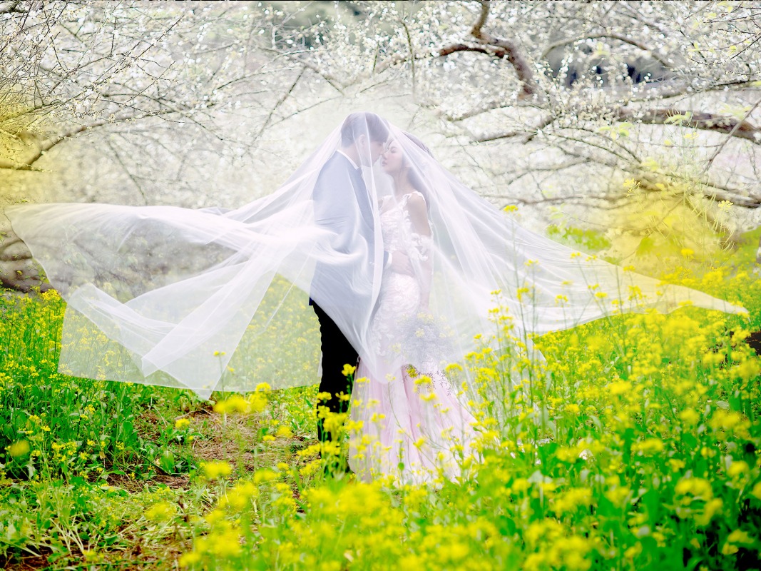 台中婚紗推薦,桃園婚紗推薦,自然婚紗照,花海婚紗,南投梅園