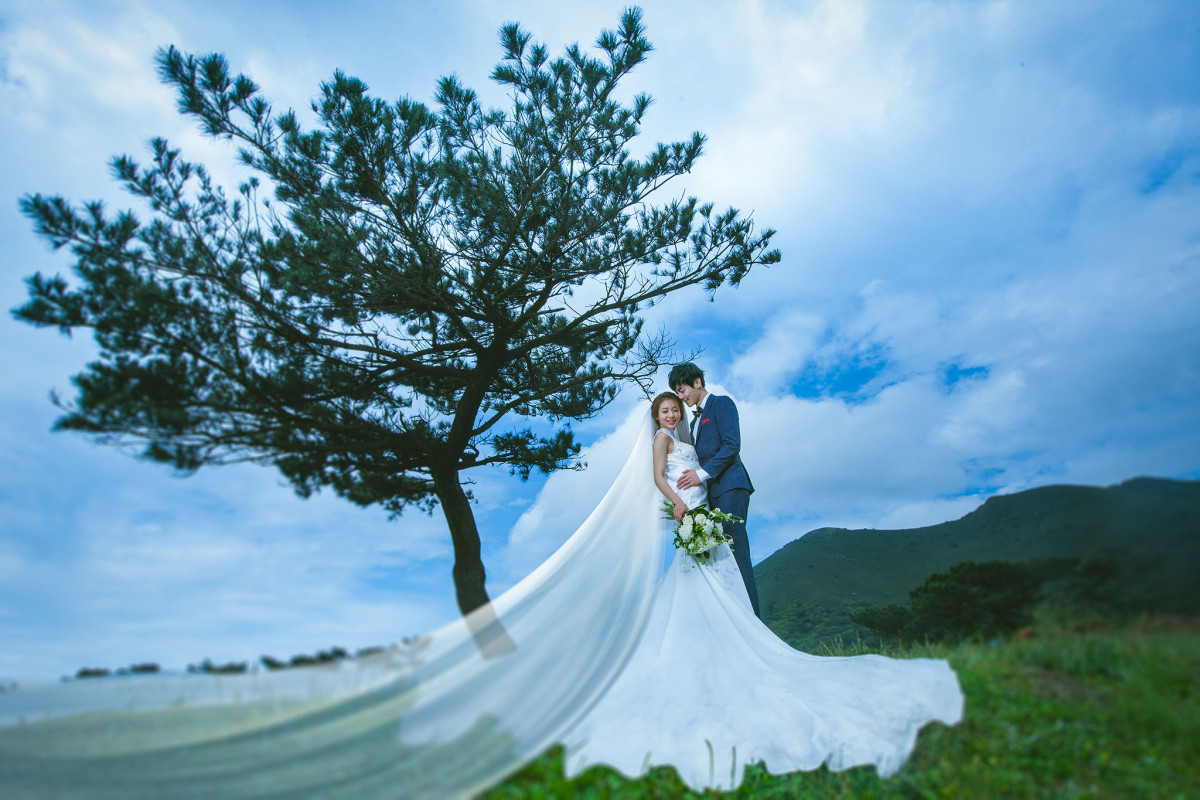台中婚紗推薦,桃園婚紗推薦,自然婚紗照,草原婚紗,陽明山擎天崗