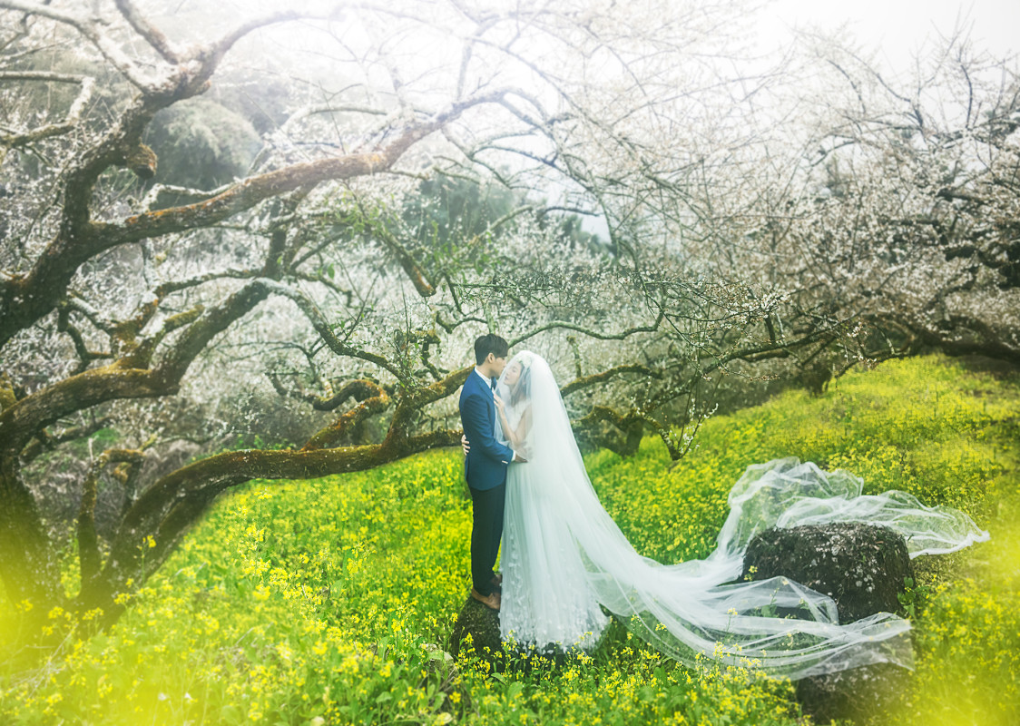 台中婚紗推薦,桃園婚紗推薦,自然婚紗照,花海婚紗,南投梅園