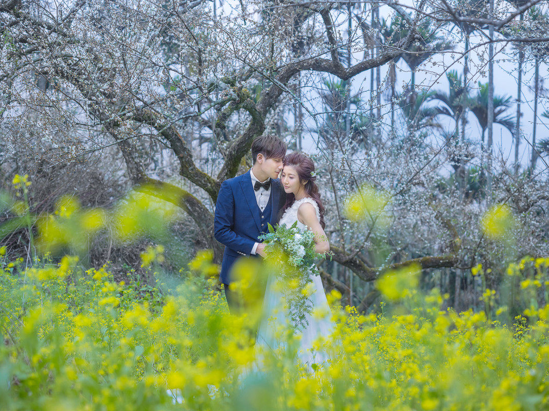 台中婚紗推薦,桃園婚紗推薦,自然婚紗照,花海婚紗,南投梅園