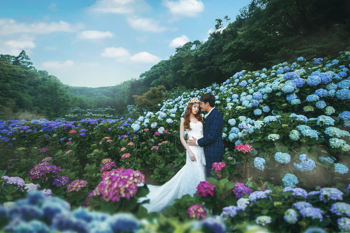 台中婚紗推薦,桃園婚紗推薦,自然婚紗照,花海婚紗,陽明山高家繡球花