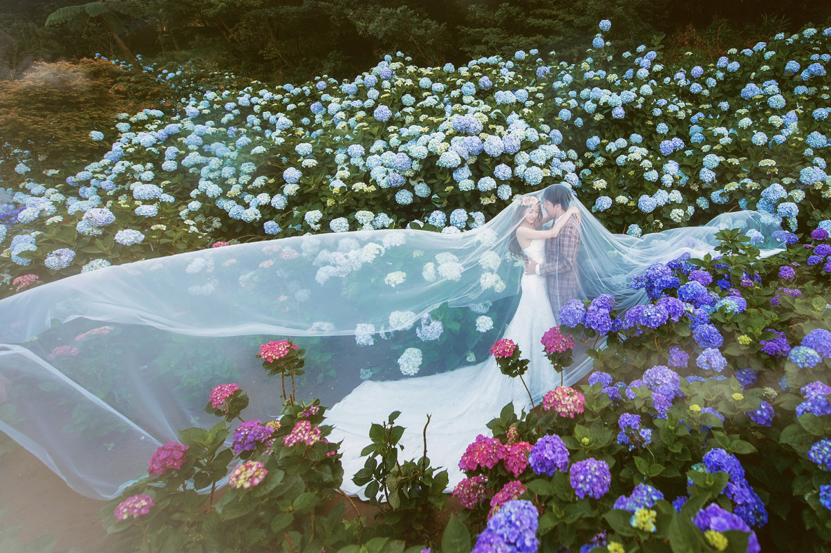 台中婚紗推薦,桃園婚紗推薦,自然婚紗照,花海婚紗,陽明山高家繡球花