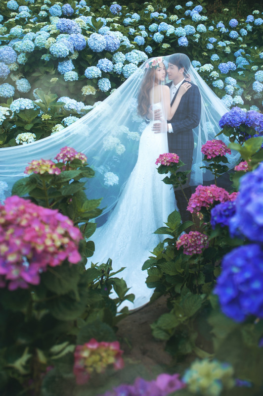台中婚紗推薦,桃園婚紗推薦,自然婚紗照,花海婚紗,陽明山高家繡球花