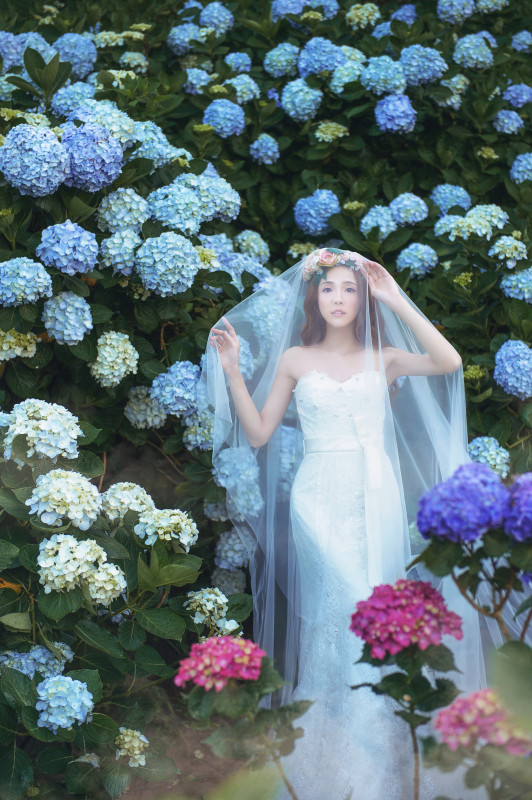 台中婚紗推薦,桃園婚紗推薦,自然婚紗照,花海婚紗,陽明山高家繡球花