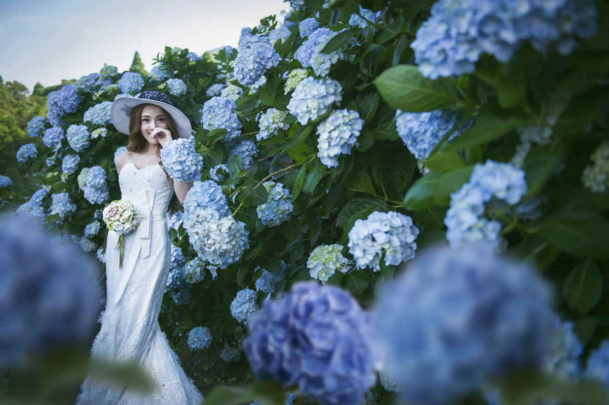 台中婚紗推薦,桃園婚紗推薦,自然婚紗照,花海婚紗,陽明山高家繡球花