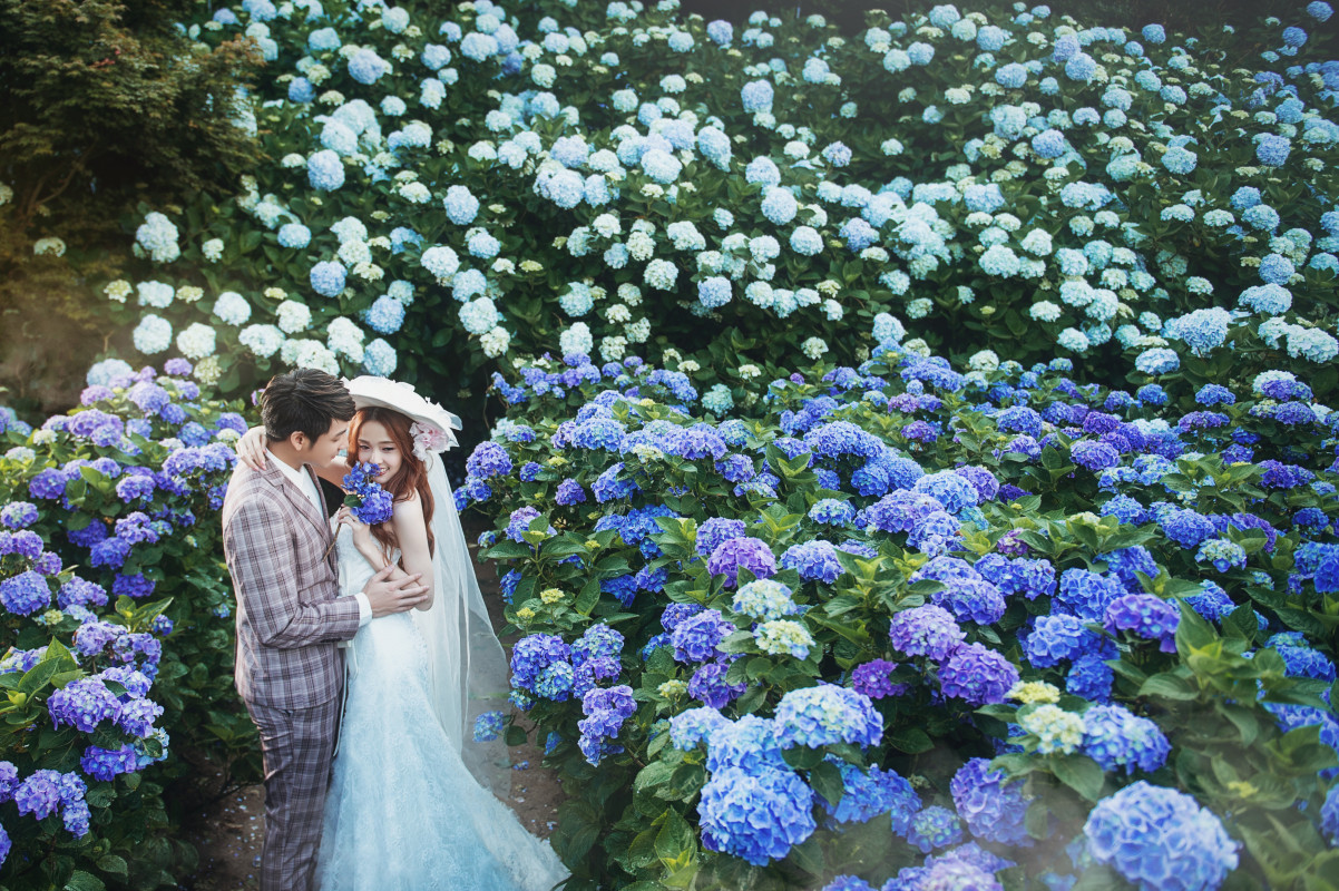 台中婚紗推薦,桃園婚紗推薦,自然婚紗照,花海婚紗,陽明山高家繡球花