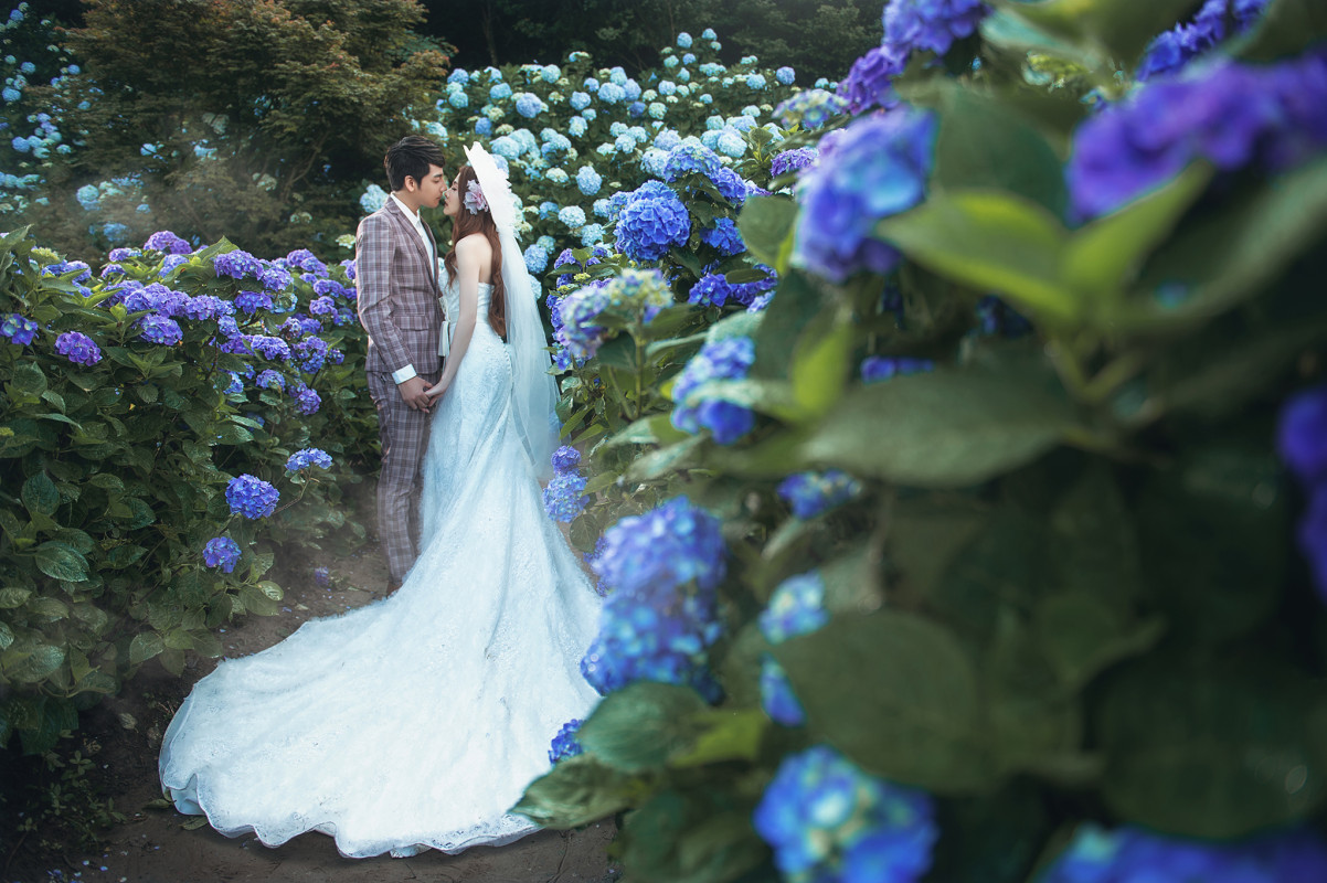 台中婚紗推薦,桃園婚紗推薦,自然婚紗照,花海婚紗,陽明山高家繡球花