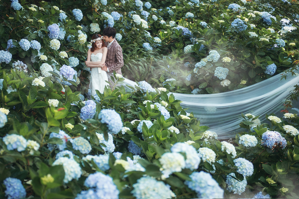 台中婚紗推薦,桃園婚紗推薦,自然婚紗照,花海婚紗,陽明山高家繡球花