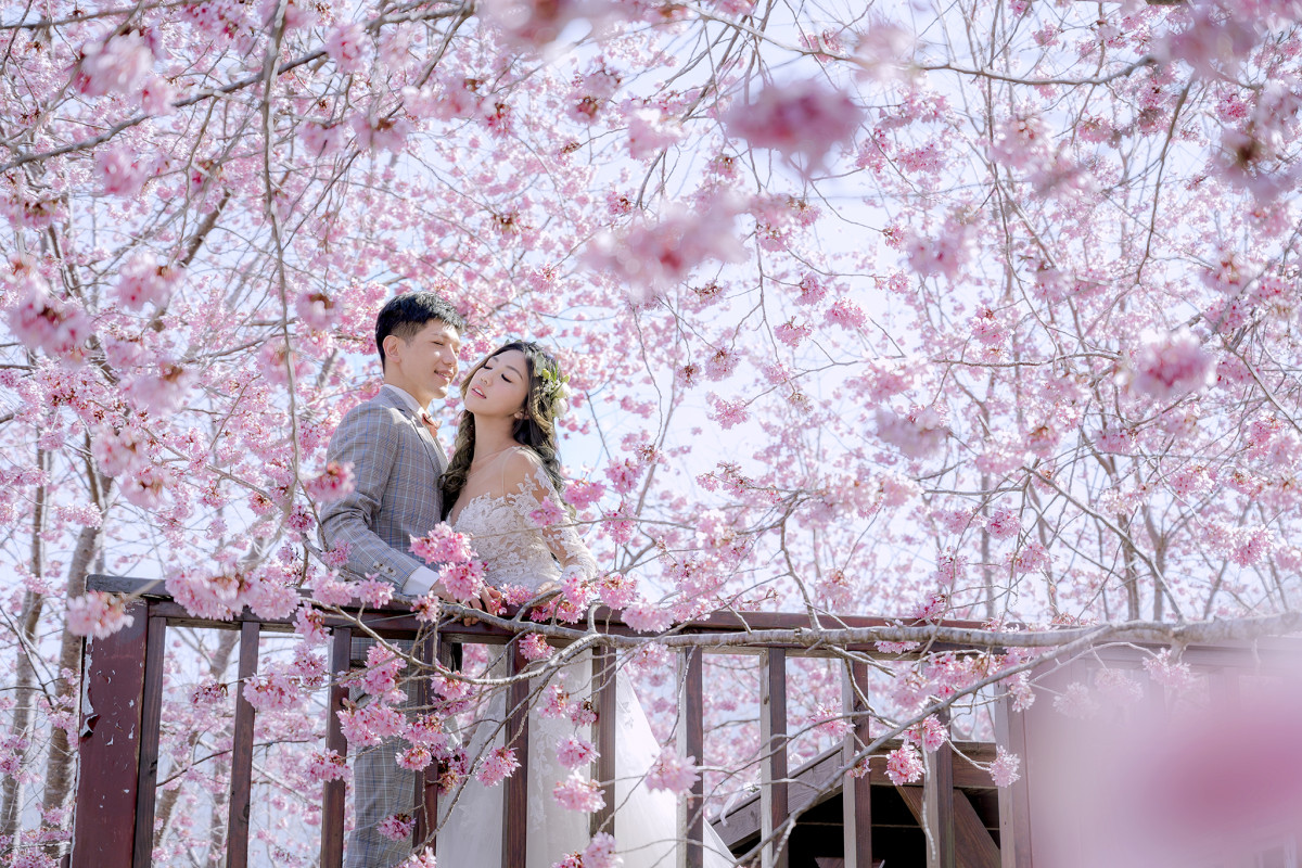 台中婚紗推薦,桃園婚紗推薦,自然婚紗照,花海婚紗