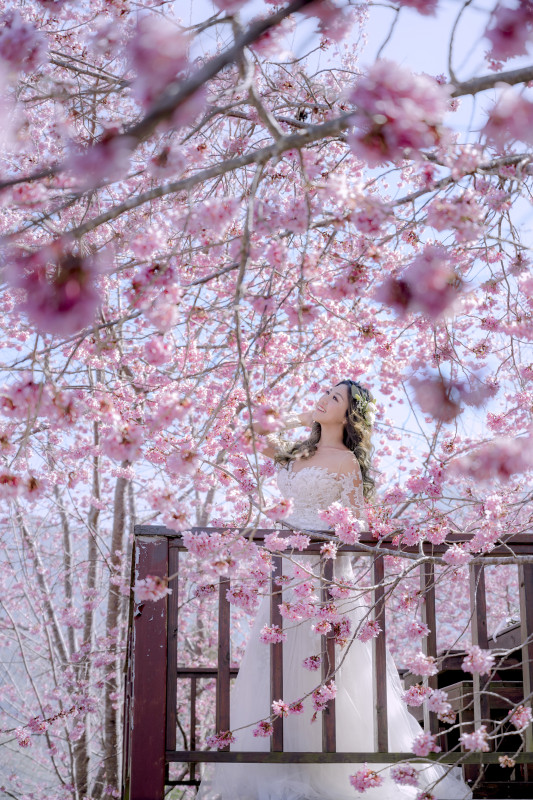 台中婚紗推薦,桃園婚紗推薦,自然婚紗照,花海婚紗