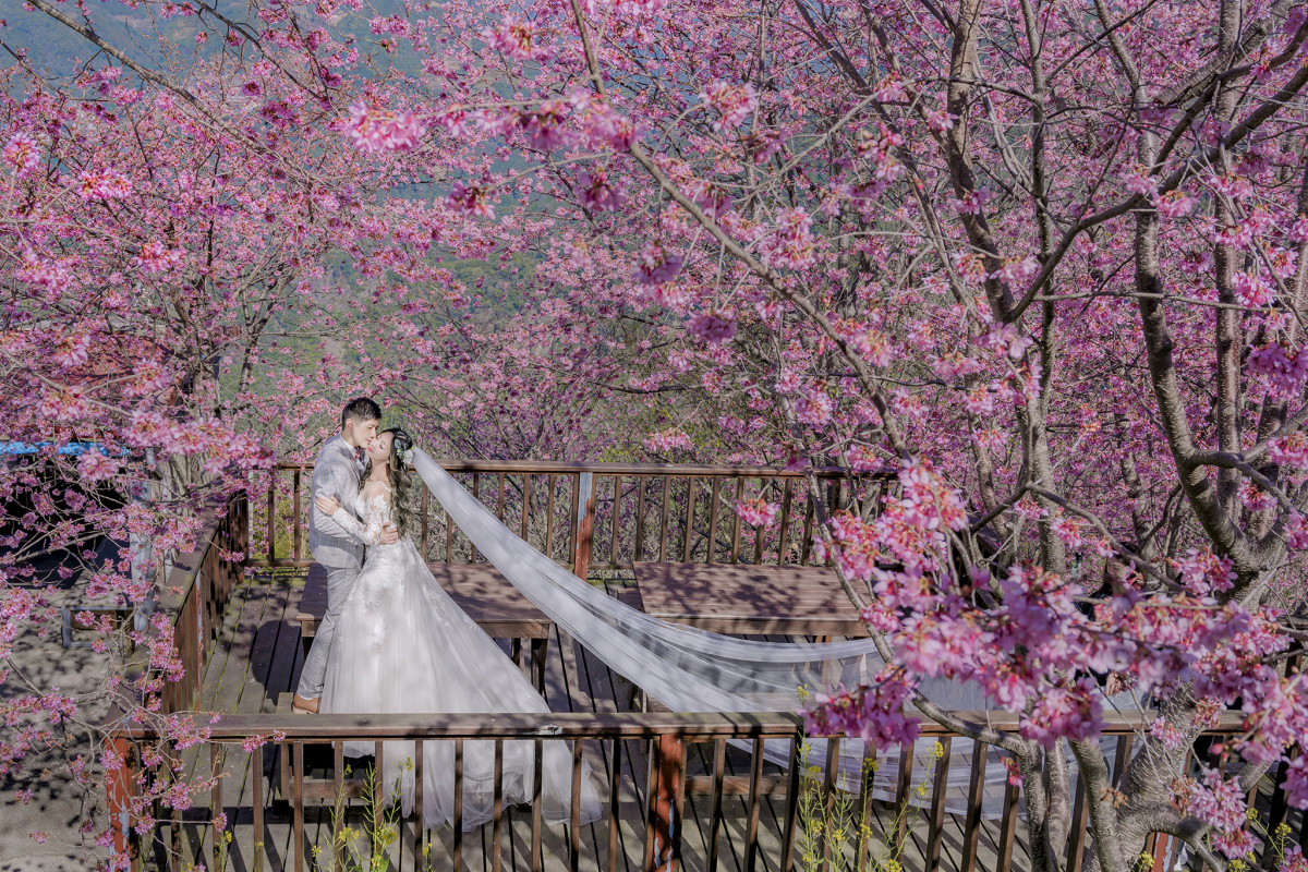 台中婚紗推薦,桃園婚紗推薦,自然婚紗照,花海婚紗