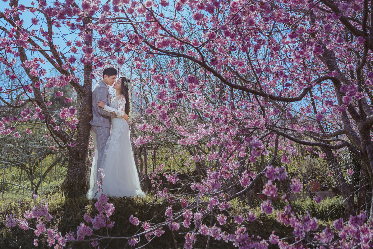 台中婚紗推薦,桃園婚紗推薦,自然婚紗照,花海婚紗
