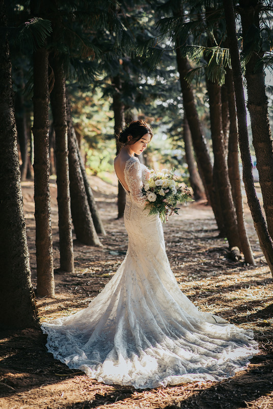 台中婚紗推薦,桃園婚紗推薦,自然婚紗照,森林婚紗,九天森林