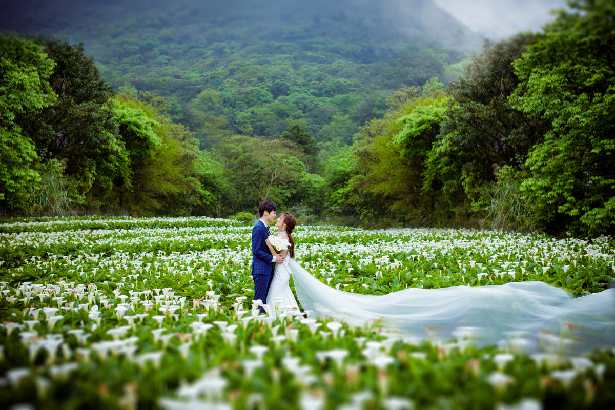 台中婚紗推薦,桃園婚紗推薦,自然婚紗照,森林婚紗,陽明山竹子湖
