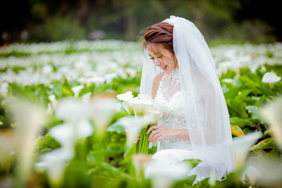 台中婚紗推薦,桃園婚紗推薦,自然婚紗照,森林婚紗,陽明山竹子湖