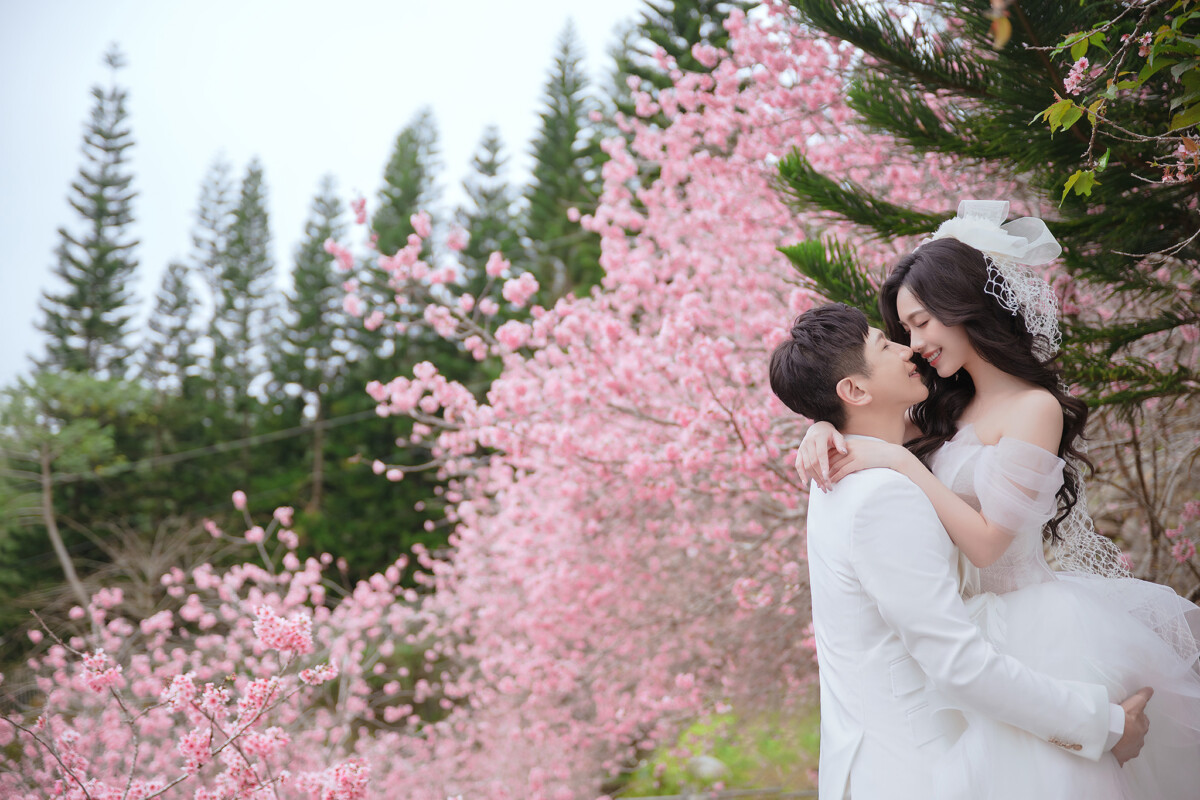 櫻花婚紗,中部婚紗景點推薦,台中婚紗景點推薦,花海婚紗照,櫻花鳥森林
