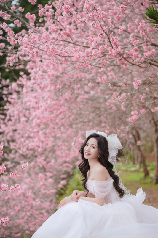 櫻花婚紗,中部婚紗景點推薦,台中婚紗景點推薦,花海婚紗照,櫻花鳥森林