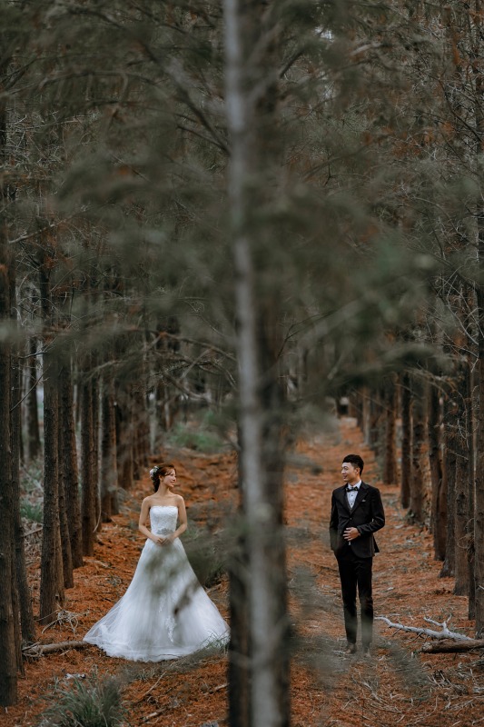 台中婚紗店,台中婚紗推薦,婚紗照推薦,華納婚紗評價,中式婚紗